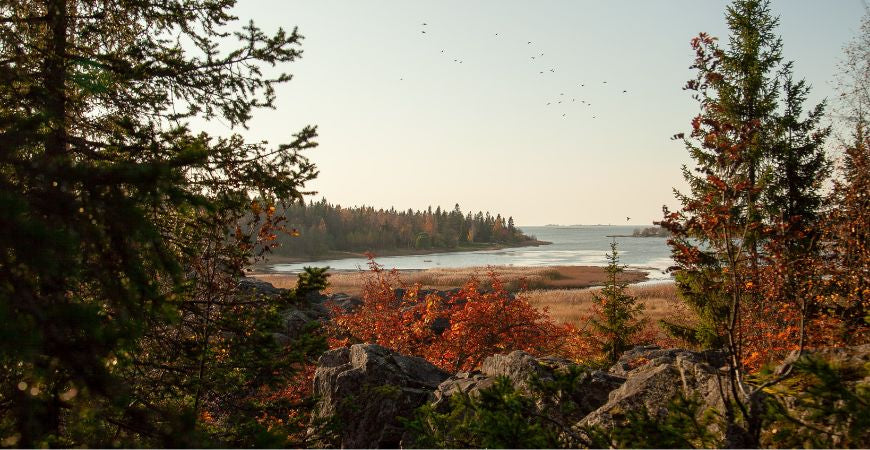Paysage d'automne aux arbres roux au bord d'un lac