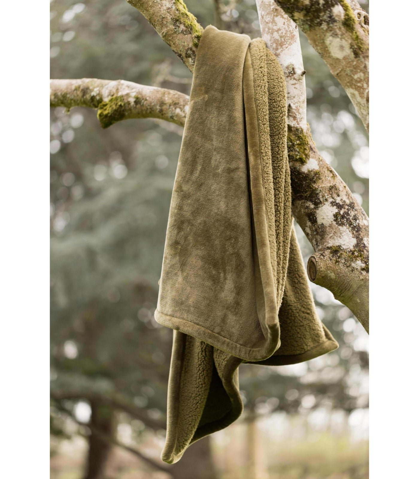 Plaid Cocooning Effet Mouton Vert Romarin, Vivaraise, drapé sur un canapé