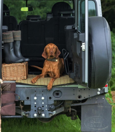 Plaid pour Chien en tweed vert foncé 98 X 72 cm