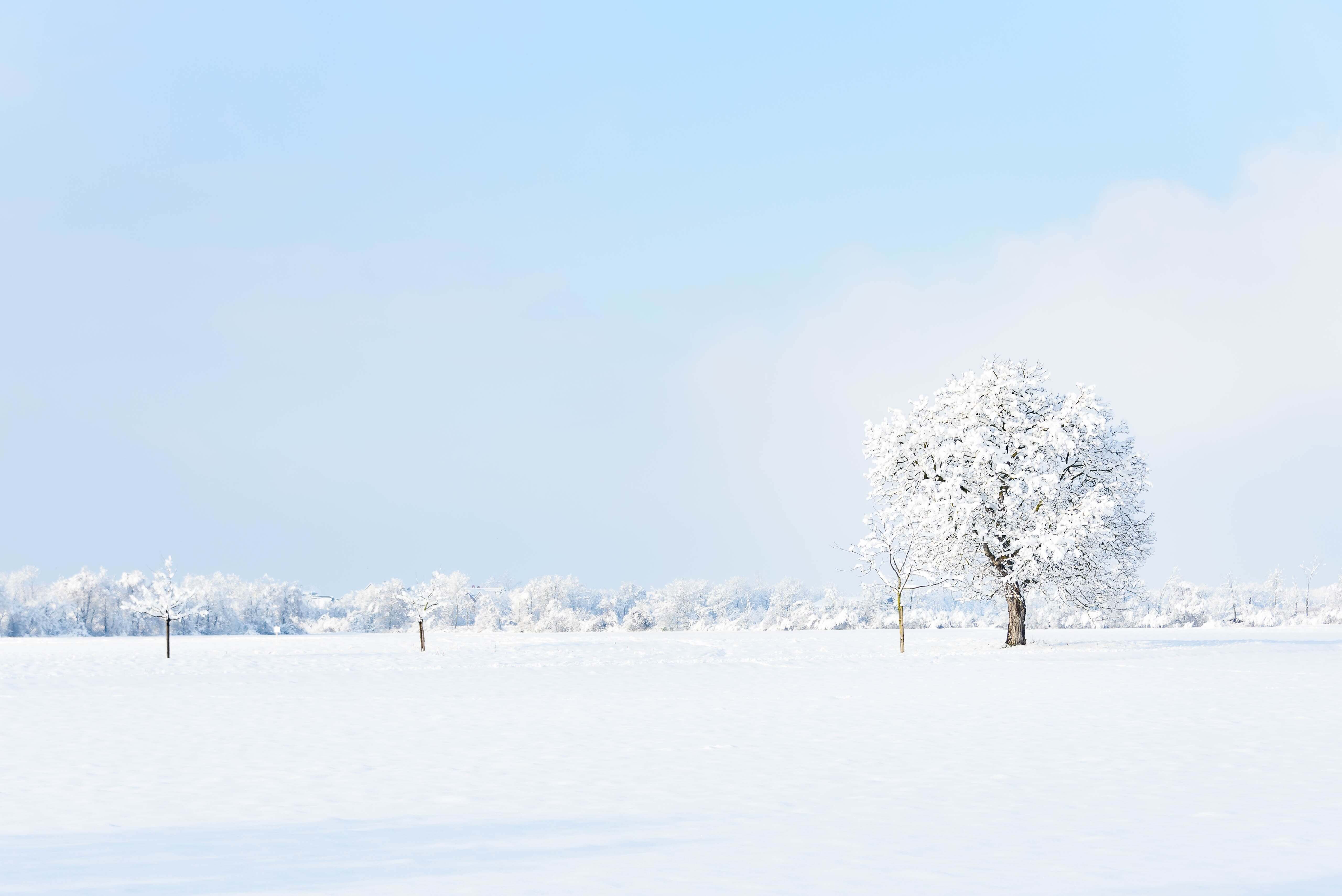 Quels plaids et couvertures pour l'hiver ?